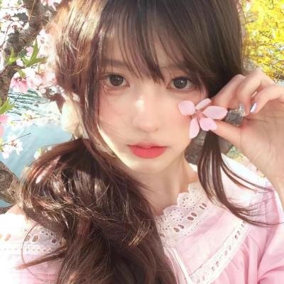 梅花档案